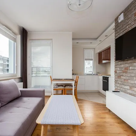 Apartment Brzezno Homely By Bookinghost *